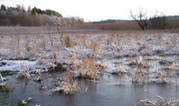 Våtmarksåtgärders påverkan på grundvatten Våtmarksåtgärders påverkan på grundvatten