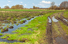 Regnat på ett fält. Regnat på ett fält.