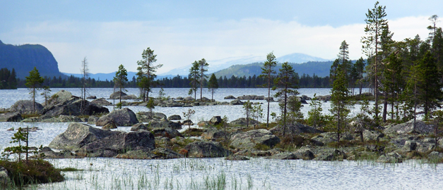 Vatten och träd. Fjäll i bakgrunden. Vatten och träd. Fjäll i bakgrunden.